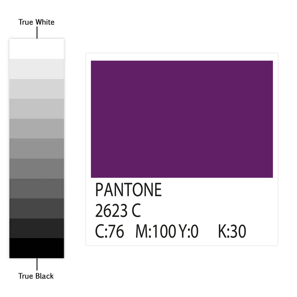 - Guipp Decor | Wall Panels, Tile Stickers & Interior Decor Solutions