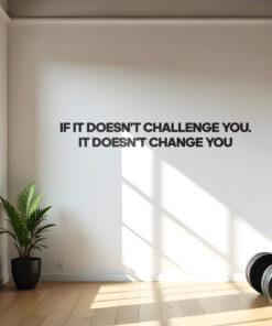 If it doesnt challenge you 3D Gym Decor
